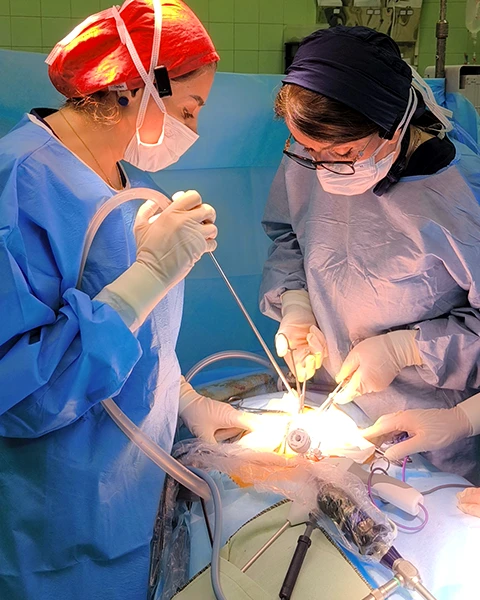 دکتر ابراهیمی، دکتر فاطمه ابراهیمی، دکتر زنان خوب